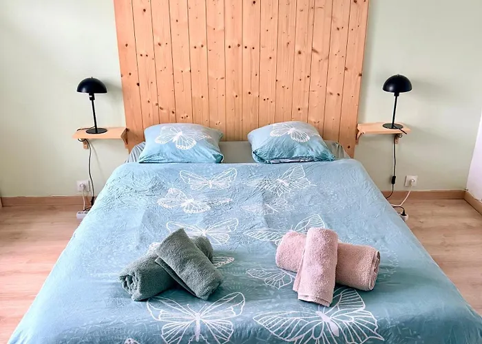 Prix Malin Joli T2 En Rdc Saulcy-sur-Meurthe